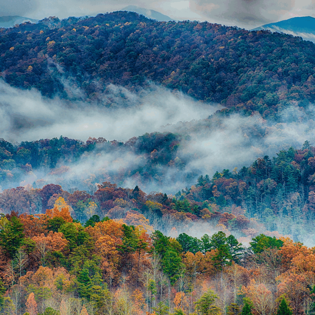 Great Smokey Mountains in the fall with mist